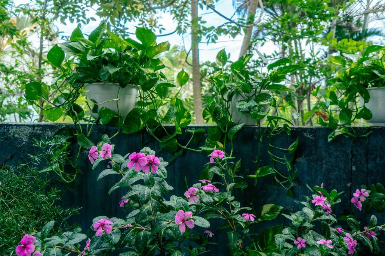 Green Bud Hostel And Homestay Hoi An Exterior foto